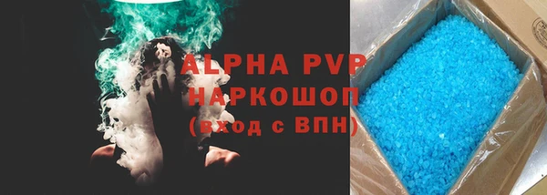 прущие грибы Кизел