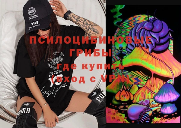 гидропоника Кодинск
